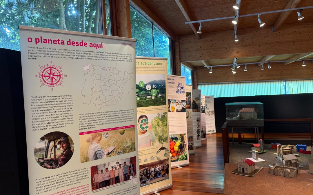 O Museo Arqueolóxico de Cambre acollerá do 1 ao 15 de setembro a exposición «Do mar e da terra»